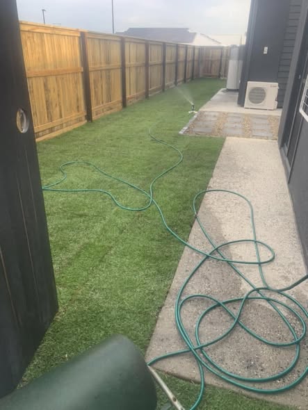 Fresh side-yard turf, watered in